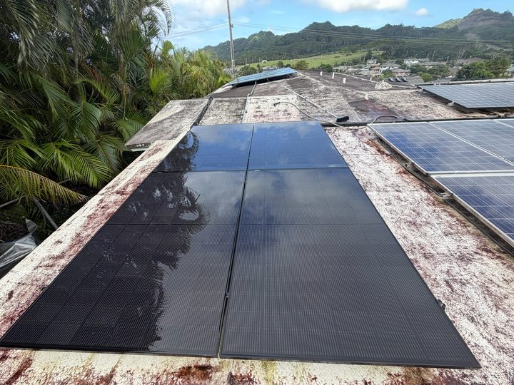 Black solar panels on a flat roof with palms and mountains beyond