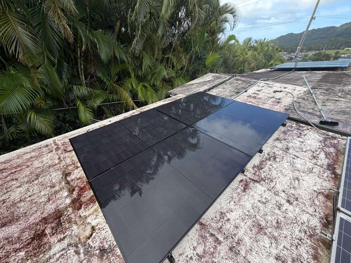 A row of clean black solar panels on a flat roof next to palm trees