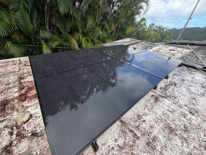 Freshly cleaned black solar panels reflecting the palm trees