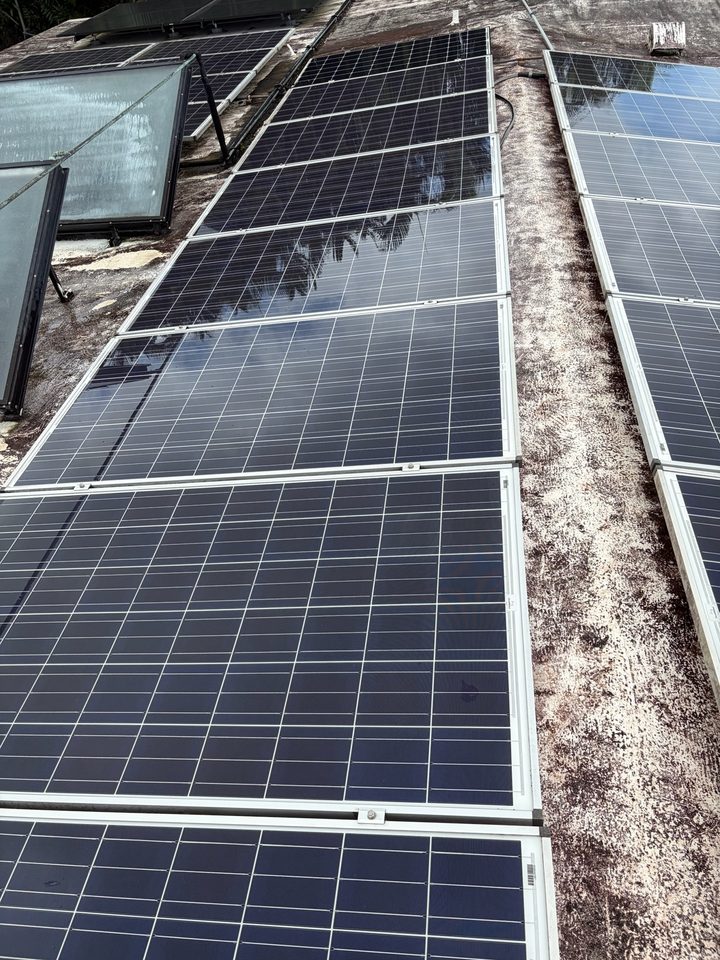 A long row of clean solar panels on racks along a flat roof